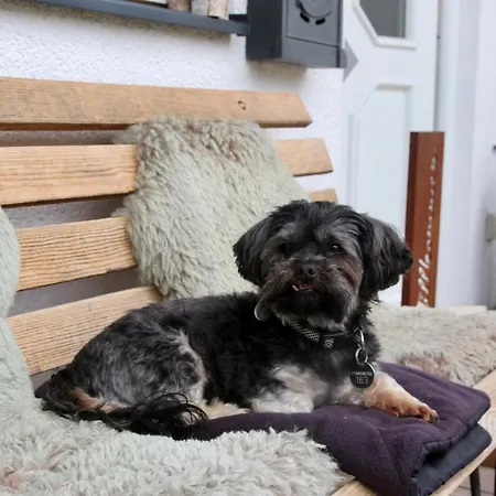 Hotel Boutique Alpenhof 3*