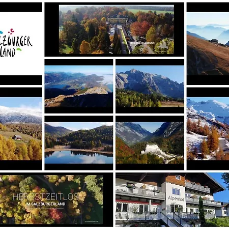 Boutique Alpenhof Hotel 3*