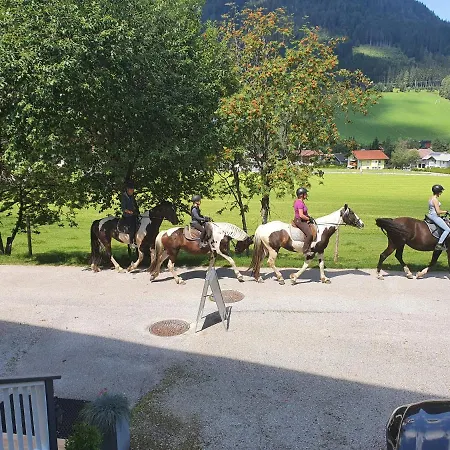 Boutique Alpenhof Sankt Martin am Tennengebirge