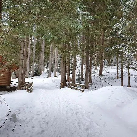 Boutique Alpenhof Hotel
