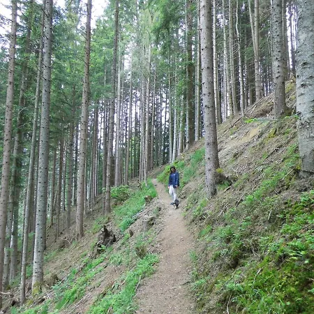 Boutique Alpenhof Sankt Martin am Tennengebirge