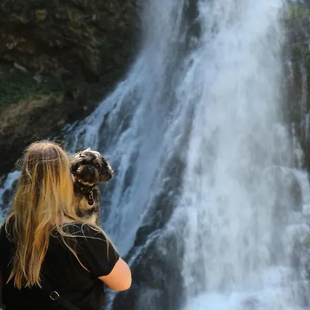 Boutique Alpenhof 3* Sankt Martin am Tennengebirge