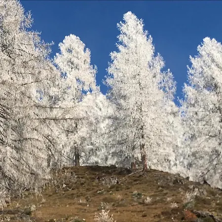 Hotel Boutique Alpenhof 3*