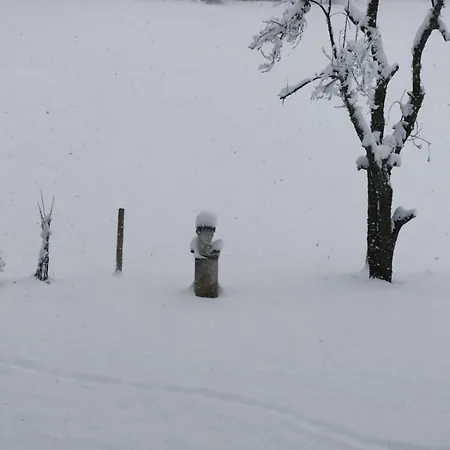 Boutique Alpenhof Sankt Martin am Tennengebirge