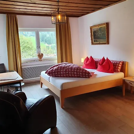 Hotel Boutique Alpenhof