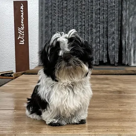 Hotel Boutique Alpenhof Sankt Martin am Tennengebirge