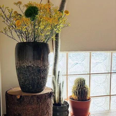 Hotel Boutique Alpenhof Sankt Martin am Tennengebirge