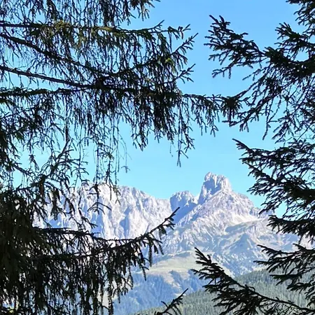 Boutique Alpenhof 3* 圣马丁安提奈各布里奇