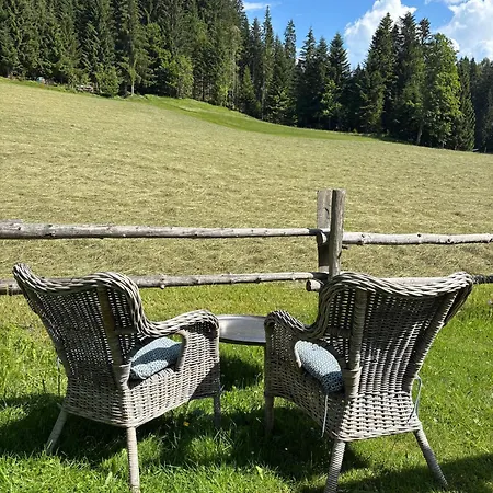 Boutique Alpenhof Ξενοδοχείο 3*
