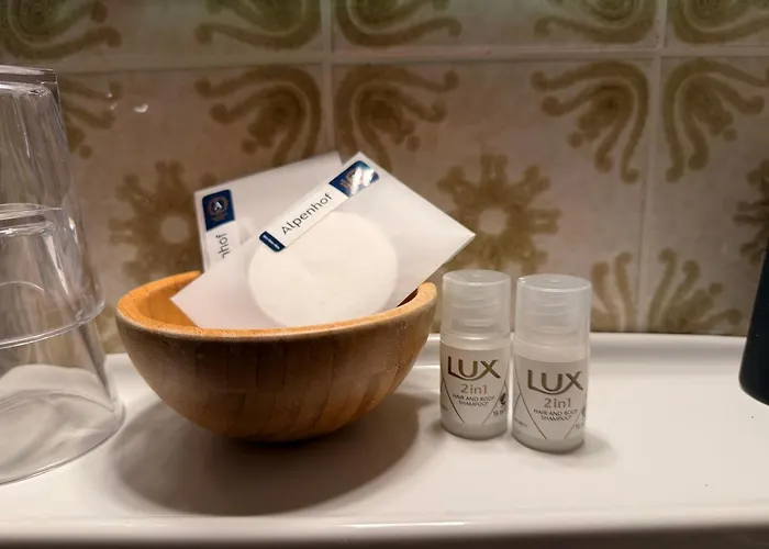 Boutique Alpenhof Hotell 3*