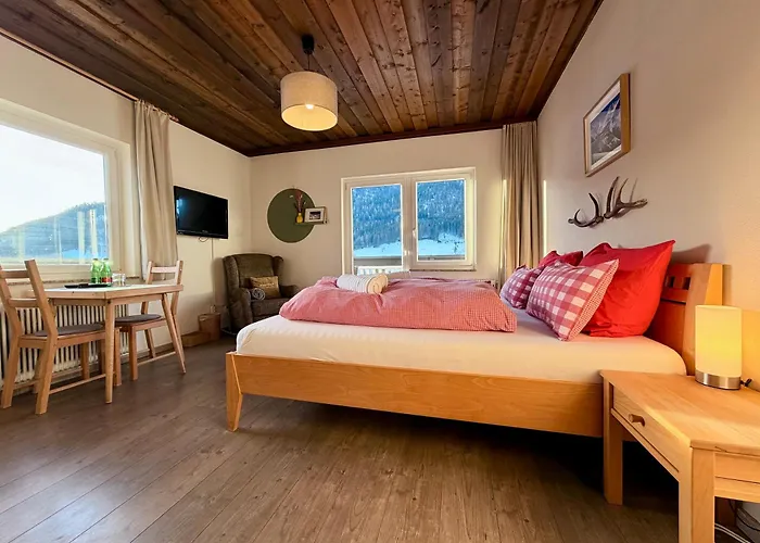 Boutique Alpenhof Hotell
